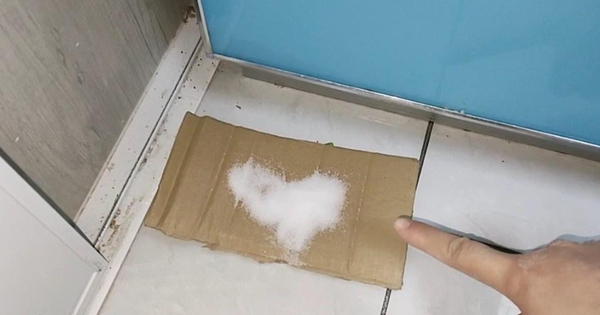 Mẹ tôi dạy: Chỉ cần 1 nắm muối ở góc bếp - không làm là mùi ám, dầu mỡ bám kín và bếp nhanh xuống cấp