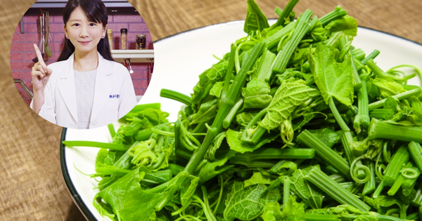 Top 10 loại rau sạch nhất, không thuốc trừ sâu ngay cả khi không rửa!