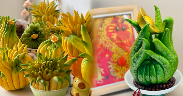 Tết này hội "nghiện nhà" đang săn lùng loại quả đẹp như tranh, thơm lừng cả tháng lại mang ý nghĩa đại cát