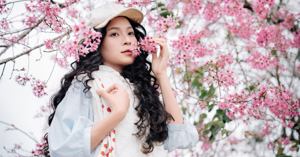 Sắc hồng phủ kín cao nguyên, vạn vật đều thua mùa hoa này ở Đà Lạt