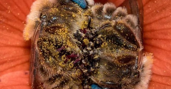 Thực phẩm duy nhất trên thế giới KHÔNG có ngày HẾT HẠN