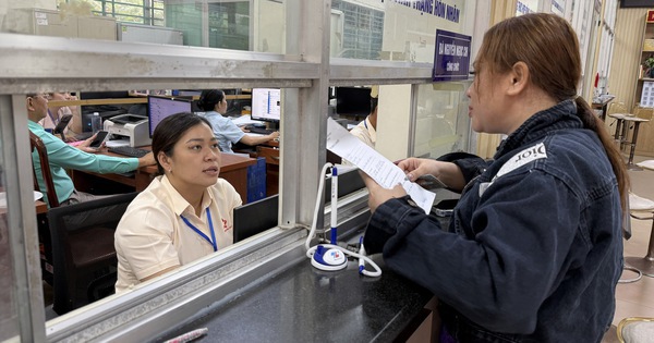 Hơn 80 phường, xã tại TPHCM sắp được bổ sung phó chủ tịch UBND