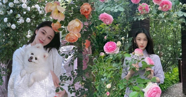 Từng là mỹ nhân thị phi, giờ là “bà chủ nông trại nhỏ”: Trương Hinh Dư khoe vườn hoa, vườn rau đẹp như tranh Monet khiến chị em phát sốt