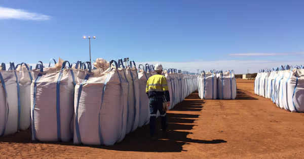 Campuchia vừa săn lùng hơn 600.000 tấn hàng của Việt Nam: Nước ta sản xuất 8 triệu tấn mỗi năm, được mệnh danh cứu tinh của nông sản