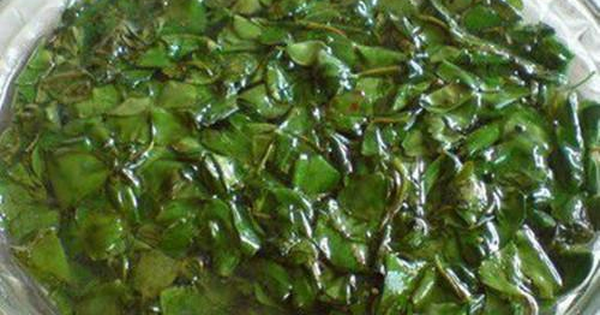 Loại cây "hiếm có khó tìm", giữ bên mình gặp nhiều may mắn, ăn vào bụng bổ như nhân sâm