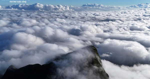 'Săn mây', ngắm cảnh đẹp hoang sơ trên 'nóc nhà' Quảng Trị ở dãy Trường Sơn