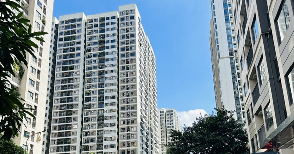 Kinh nghiệm 15 năm sống chung cư: Tôi nhận ra nên chọn màu sơn tông nóng hay lạnh, chọn đúng thì sống sướng, bán dễ