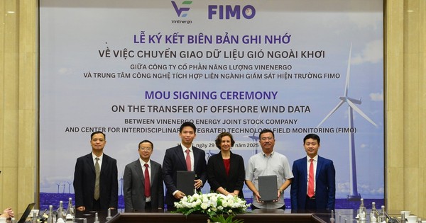 VinEnergo của tỷ phú Phạm Nhật Vượng có "tướng" mới: Là người cũ của VinaCapital