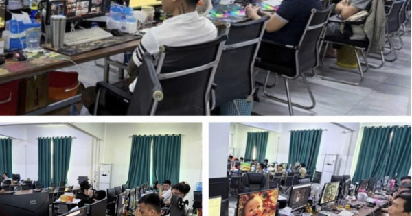 Ổ nhóm lừa đảo khiến 500 người Việt sập bẫy với số tiền gần 140 tỷ đồng, một bà mẹ đơn thân ở Hà Nội mất 27 tỷ đồng