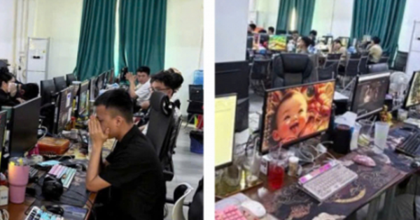 Bóc gỡ ổ nhóm “Công ty Đông Phương” dựng app giả, lừa gần 500 nạn nhân Việt Nam