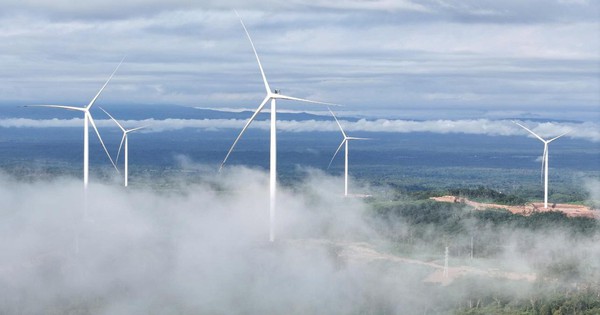 Khát vọng tạo giá trị bền vững từ năng lượng tái tạo của Bầu Hiển