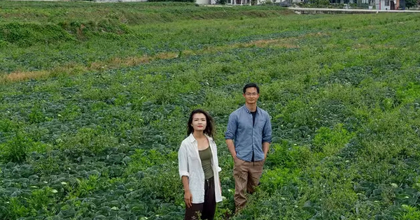 U30 bỏ phố chuyển về vùng núi "dưỡng già", chưa đầy 1 năm đã thảng thốt: “Đó không phải cuộc sống tôi muốn”