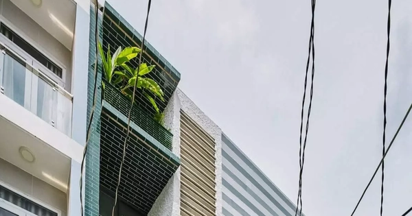 Thiết kế nhà lô hẹp chỉ 35m2 nhưng bên trong vẫn thoáng sáng