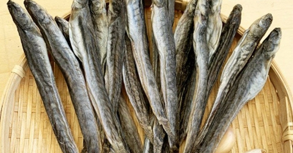 Loại "cá nhà nghèo" ngọt như mì chính, được ví là "sâm nước", giá tới nửa triệu đồng 1kg