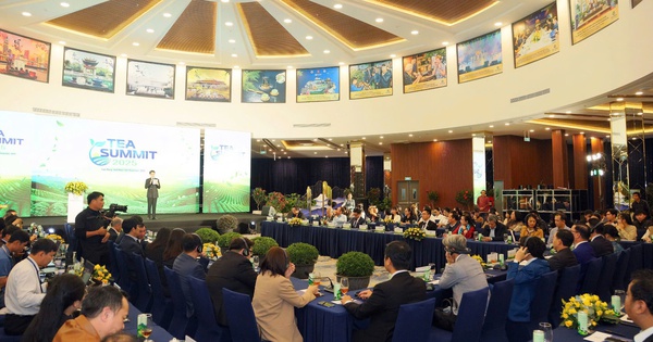 Các chuyên gia hội tụ tại World Tea Fest để đối thoại về trà: Trà sẽ tiếp tục là cây cầu mang lại sức khỏe, văn hóa, đối thoại, giáo dục và sự thịnh vượng cho cộng đồng