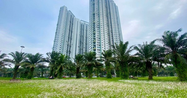 Tại sao  phân khúc cao cấp chiếm chủ đạo thị trường bất động sản?