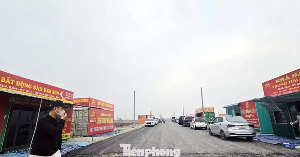 Đấu giá đất vùng quê: Chưa lên sàn 'cò đất' đổ về gây náo loạn