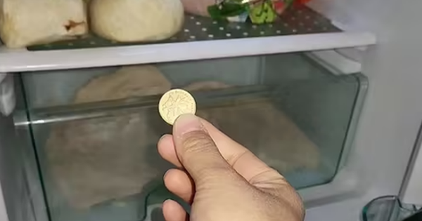Người thông minh bỏ 1 đồng xu vào tủ lạnh: Lý do nghe xong ai cũng phải gật gù đồng ý