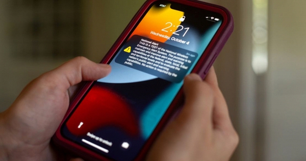 Cảnh bảo nóng với những người tò mò CV của Le Xuan Son