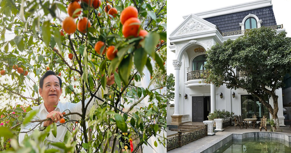 Cơ ngơi 1.000m2 của nam NSƯT mang quân hàm Thượng tá, U70 sống bình yên bên cô công nhân xưởng may