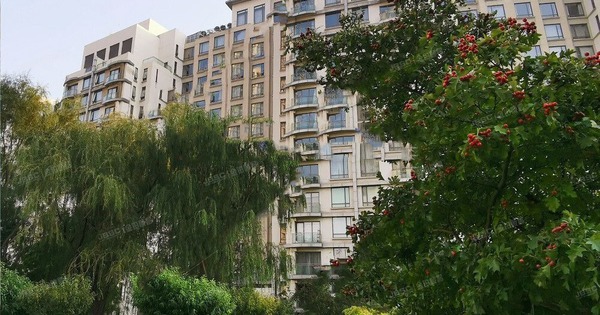 5 dấu hiệu nhận biết nhà có lộc, chúc mừng gia đình nào sở hữu