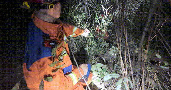 Hai đứa trẻ bỗng mất hút sau lời rỉ tai về "tiên thảo": Phụ huynh nghe xong lạnh cả sống lưng