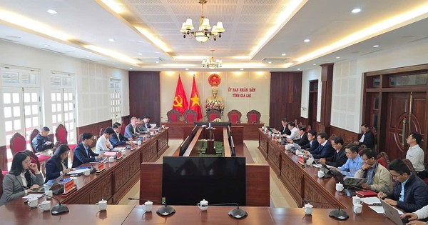 Tin vui cho Gia Lai: Liên doanh DHN muốn mở rộng dự án nông nghiệp công nghệ cao trên địa bàn