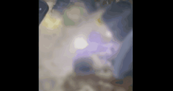 Công an thông tin vụ bé sơ sinh nghi bị 