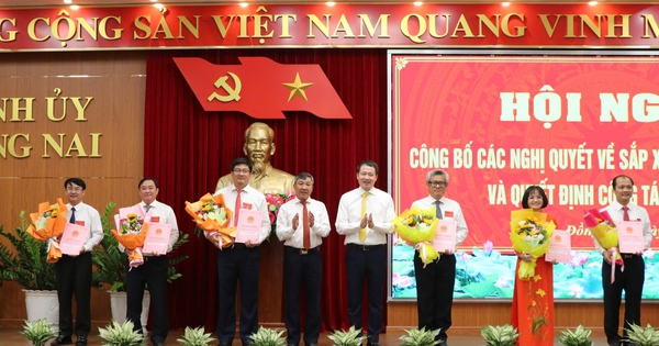 Đồng Nai thành lập 6 sở mới, ai là giám đốc sau khi sáp nhập?