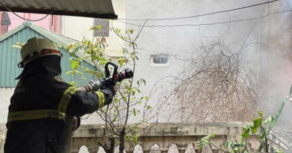 Bật máy sưởi cho thú cưng gây cháy nhà ở Hà Nội