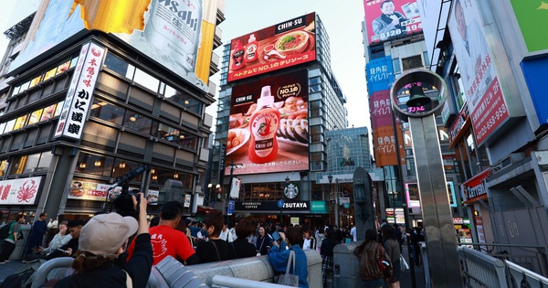 Cổ phiếu nào đón đầu “cơ hội vàng” từ thị trường chứng khoán nâng hạng?