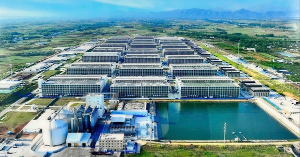 BAF nói về “chung cư nuôi heo” đầu tiên tại Việt Nam: Để tạo ra 100.000 heo/năm chỉ cần 95 nhân công, diện tích đất 6,7ha - tiết kiệm được 10 lần