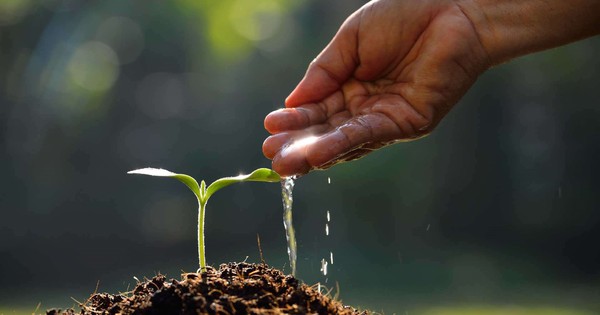 "Mỏ vàng" lộ diện trên sàn chứng khoán