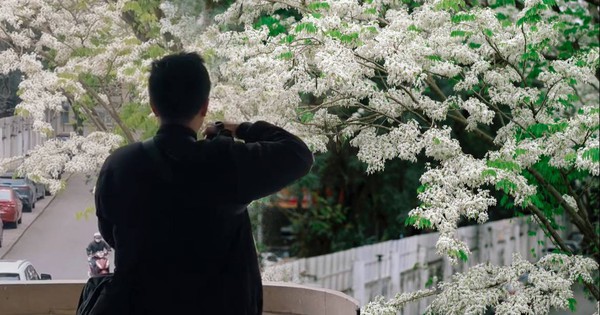 Travel blogger tiết lộ 5 nơi chụp ảnh hoa sưa đẹp nhất Hà Nội: Nếu Phê La quá đông thì vẫn còn những nơi này!