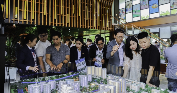 Masterise Homes, Coteccons, Nam Long, Vinhomes, Kim Oanh, An Gia, Phú Đông... liên tục có động thái về dự án, bất động sản phía Nam vào đợt “sóng” mới?