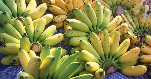 Người đàn ông mua chuối hết 100 nghìn đồng nhưng bị phạt 193 triệu: Toà án khẳng định đã làm đúng luật