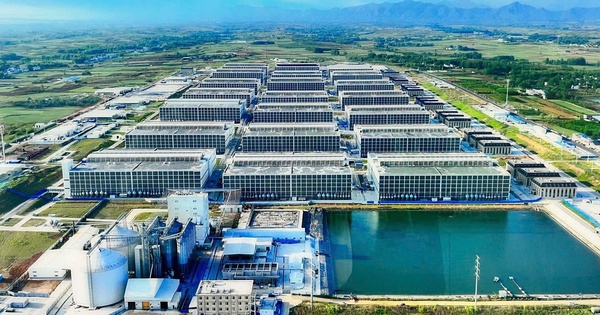 DN đứng sau "chung cư nuôi heo" đầu tiên Việt Nam: Mua công ty thứ 15 sau khi hợp tác với ông lớn Trung Quốc, cần 2.000 lao động cho 100 trang trại