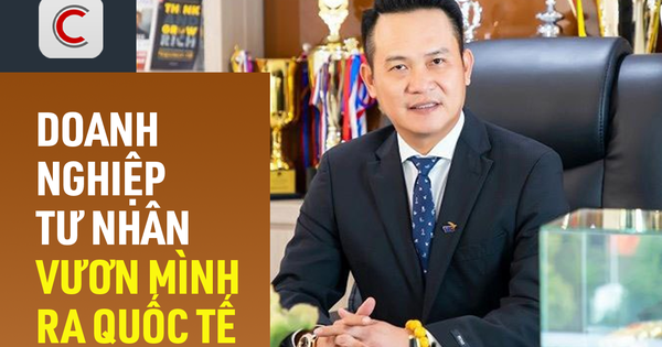 Ông Đặng Hồng Anh: Các doanh nghiệp tư nhân lớn như Vingroup, THACO, FPT... cần được xem là những "con đại bàng", cần được hỗ trợ để vươn tầm quốc tế