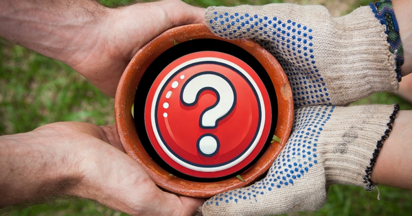 Chuyên gia Mỹ đánh giá loại quả “lành mạnh nhất hành tinh”, ở Việt Nam lại cực sẵn, bán rẻ bất ngờ