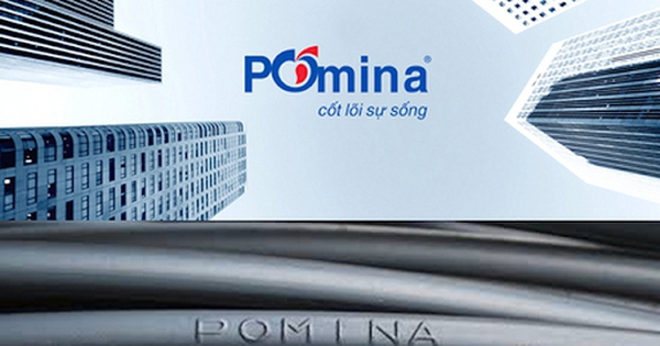 Thép Pomina lại lỗ ròng gần 1.000 tỷ trong năm 2024, 'bí ẩn' khoản điều chỉnh khiến lỗ lũy kế vọt lên 2.600 tỷ