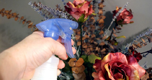 4 thứ cản trở phong thủy, phá tan tài lộc: Bạn nên tiễn ra khỏi nhà càng sớm càng tốt