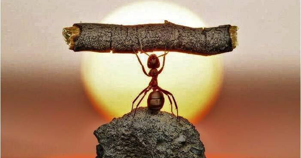 10 năm “đánh chứng” gồng lỗ: Trả giá vì sai lầm ai cũng mắc