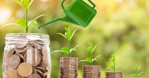 Lịch chốt quyền cổ tức tuần 24/3-28/3: Cổ tức tiền mặt cao nhất 20%, một doanh nghiệp sắp chi hơn trăm tỷ trả cổ tức