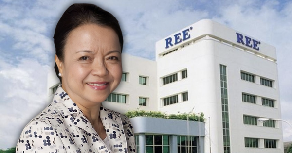 REE đặt niềm tin vào bất động sản: Mục tiêu lợi nhuận REE Land tăng 8 lần, cho thuê văn phòng "thu 10 đồng lãi 5 đồng"