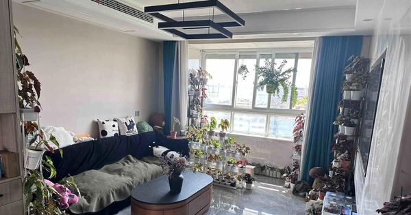 Phòng khách của một chàng trai gây tranh cãi: Người khen sáng tạo, người chê "anh lố quá"