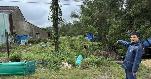 Kết luận vụ chủ tịch xã chứng thực hợp đồng mua bán đất qua… Zalo