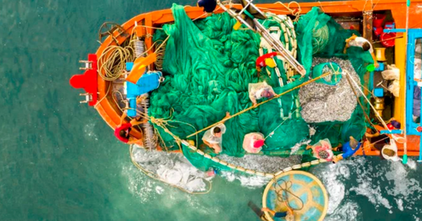 Ngành thủy sản: Chưa hết “thẻ vàng”, đã lo “thẻ đỏ”