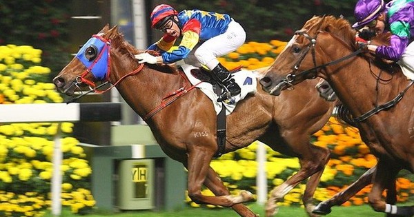 Giám đốc VPBankS tiết lộ bí quyết đầu tư vào "con ngựa tốt" trên thị trường chứng khoán