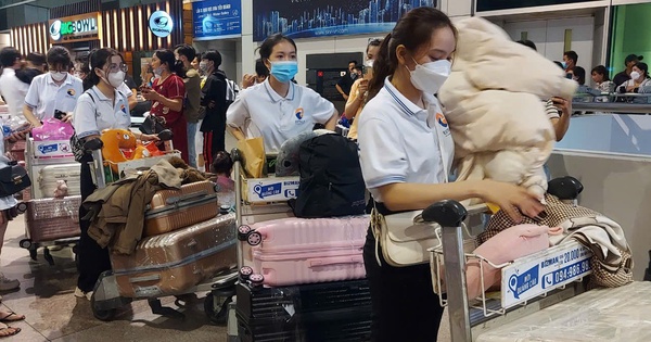 Từ ngày 1-7, người lao động đi làm việc ở nước ngoài cũng được hưởng lương hưu?