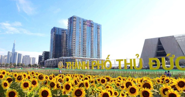 TP HCM: TP Thủ Đức đề xuất nhập các phường Thủ Đức 1, 2, 3, 4...